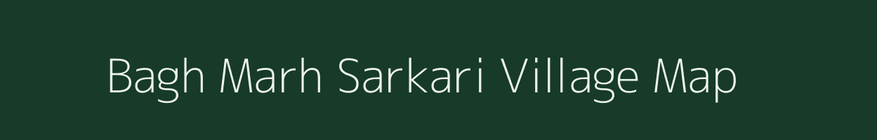 Bagh Marh Sarkari village map in Jammu & Kashmir
