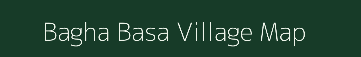 Bagha Basa village map in Odisha