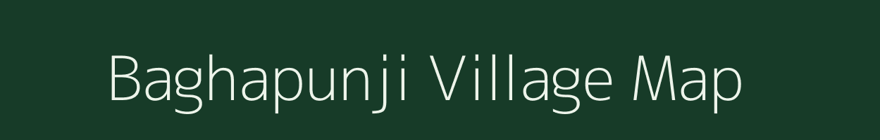 Baghapunji village map in Odisha