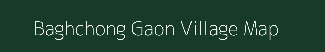 Baghchong Gaon village map in Assam