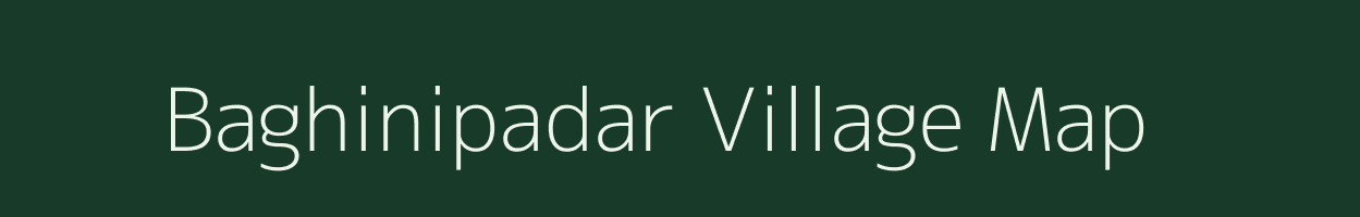 Baghinipadar village map in Odisha