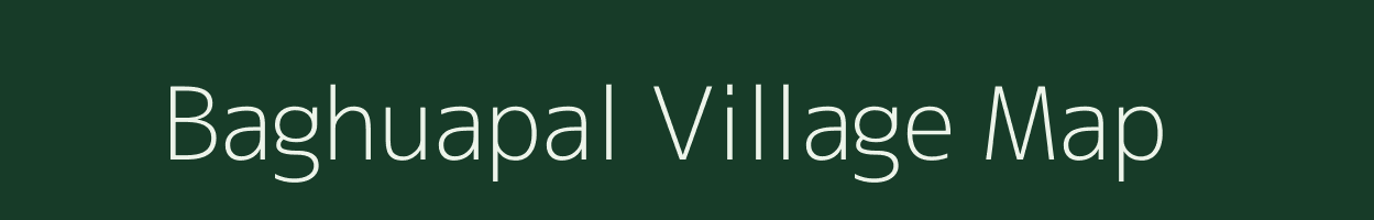 Baghuapal village map in Odisha