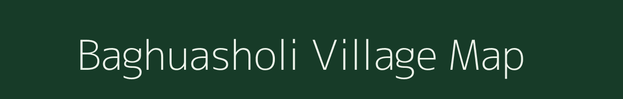 Baghuasholi village map in Jharkhand