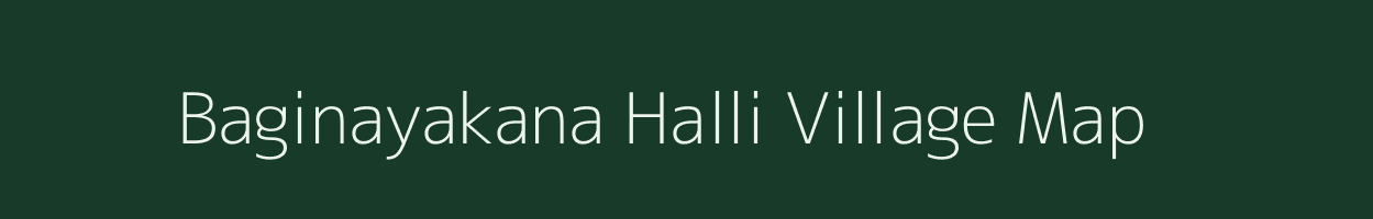 Baginayakana Halli village map in Andhra Pradesh