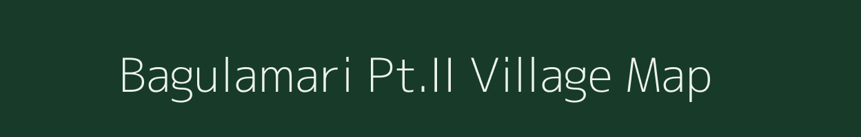 Bagulamari Pt.II village map in Assam