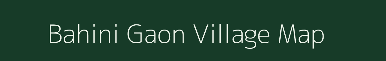 Bahini Gaon village map in Assam