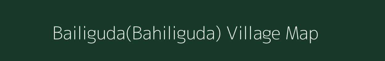Bailiguda(Bahiliguda) village map in Odisha