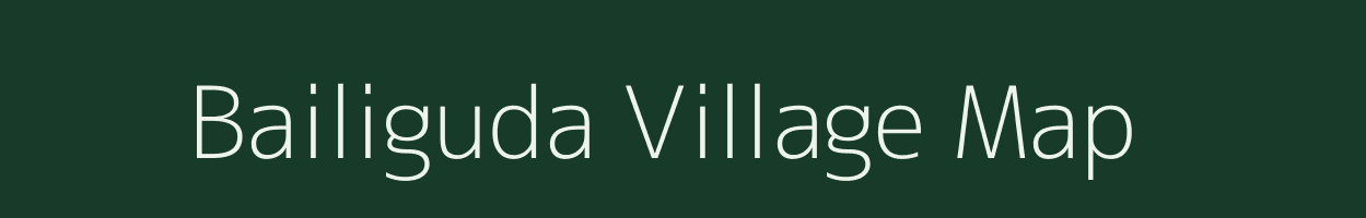 Bailiguda village map in Odisha