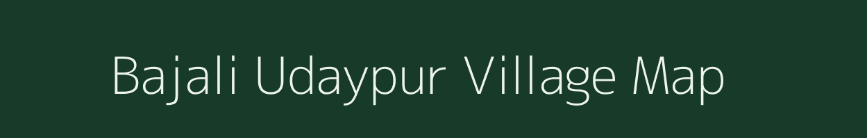 Bajali Udaypur village map in Assam