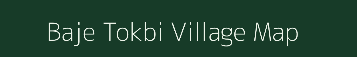 Baje Tokbi village map in Assam