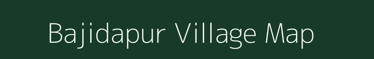 Bajidapur village map in Andhra Pradesh