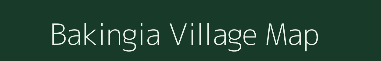 Bakingia village map in Odisha