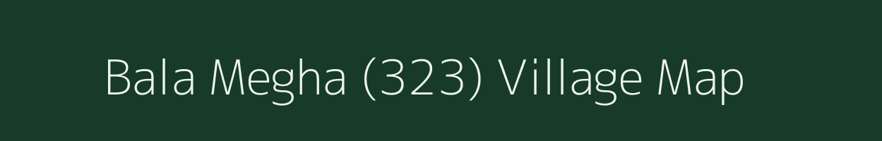 Bala Megha (323) village map in Punjab