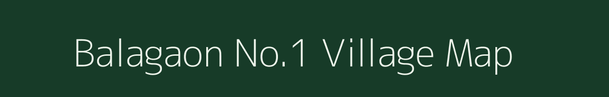 Balagaon No.1 village map in Assam