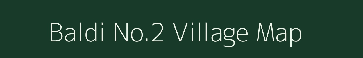 Baldi No.2 village map in Assam