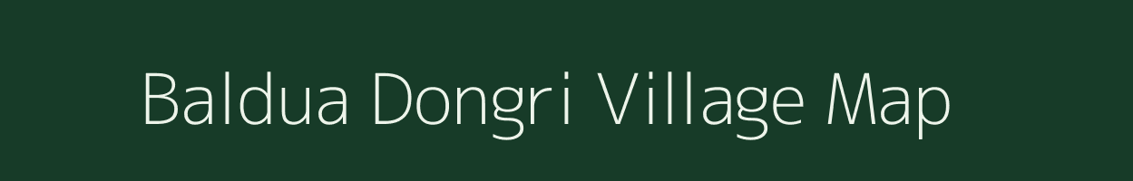 Baldua Dongri village map in Madhya Pradesh