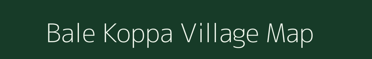 Bale Koppa village map in Karnataka