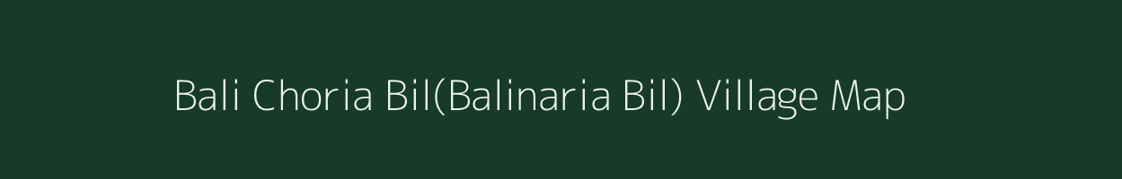 Bali Choria Bil(Balinaria Bil) village map in Assam