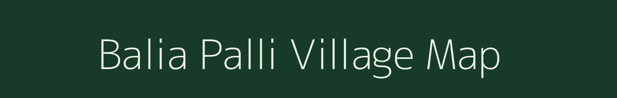 Balia Palli village map in Odisha