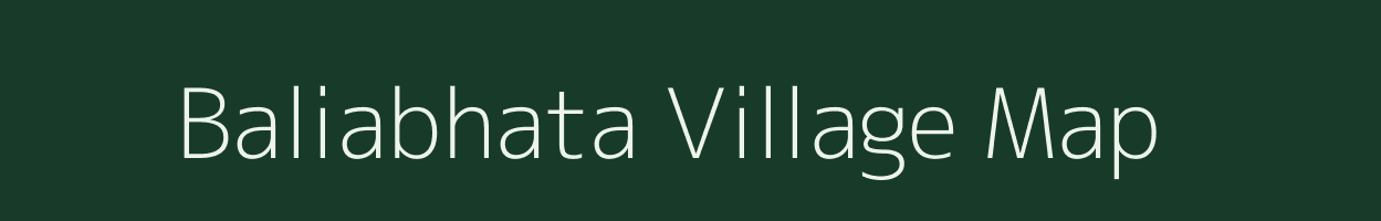 Baliabhata village map in Odisha