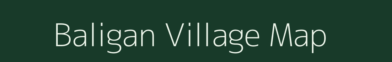 Baligan village map in Odisha