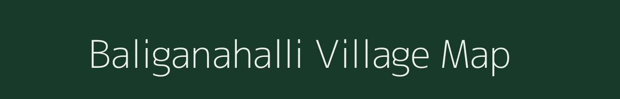 Baliganahalli village map in Karnataka