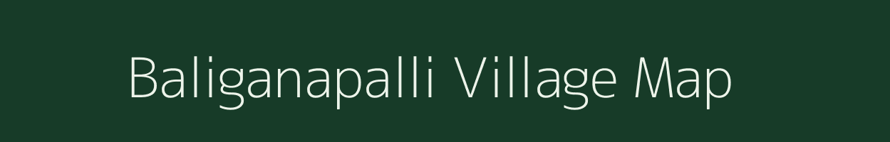 Baliganapalli village map in Tamil Nadu