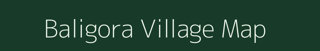 Baligora village map in Odisha