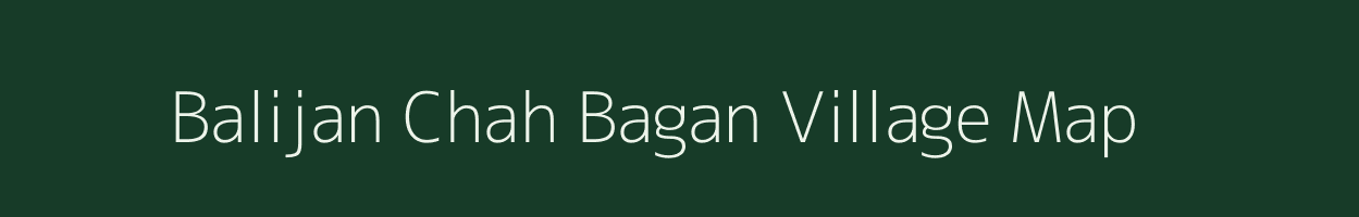 Balijan Chah Bagan village map in Assam