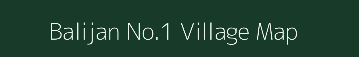 Balijan No.1 village map in Assam