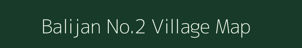 Balijan No.2 village map in Assam