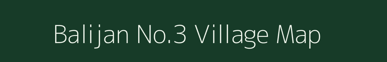 Balijan No.3 village map in Assam