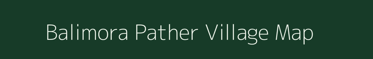 Balimora Pather village map in Assam