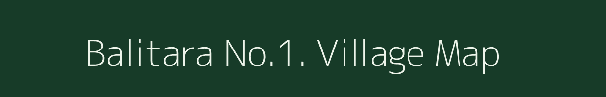 Balitara No.1. village map in Assam