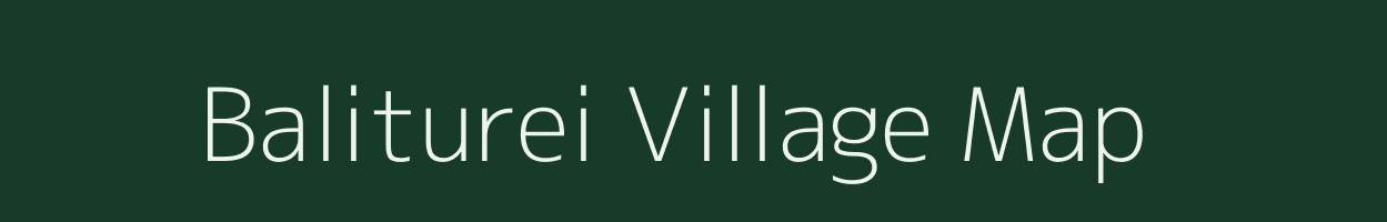 Baliturei village map in Odisha