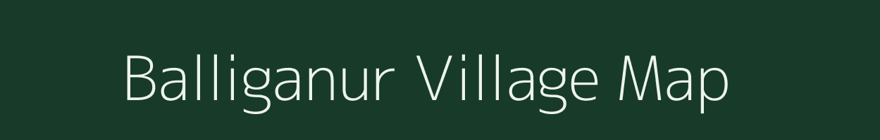 Balliganur village map in Karnataka