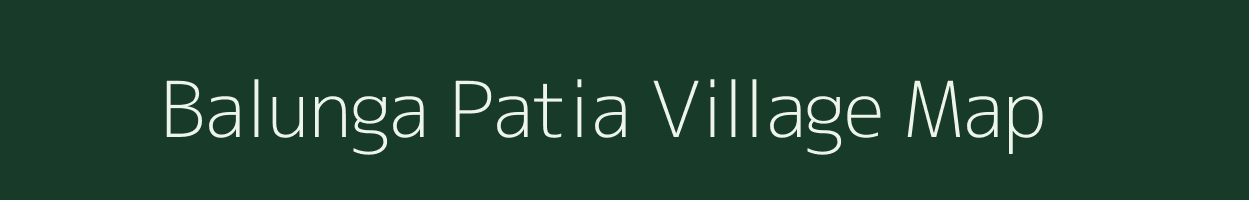 Balunga Patia village map in Odisha