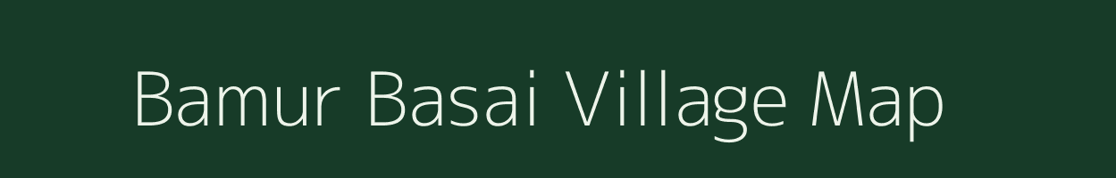 Bamur Basai village map in Madhya Pradesh