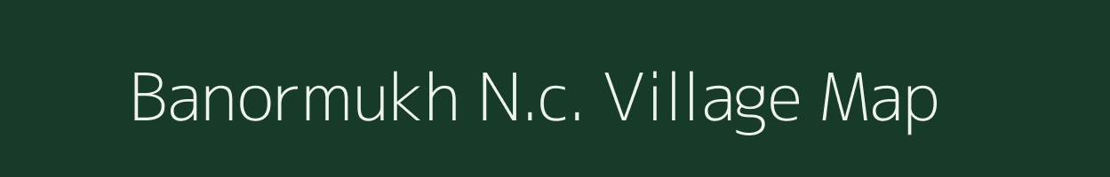 Banormukh N.c. village map in Assam