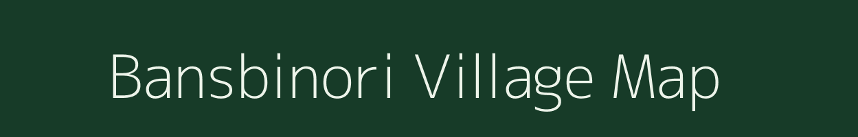 Bansbinori village map in Chhattisgarh