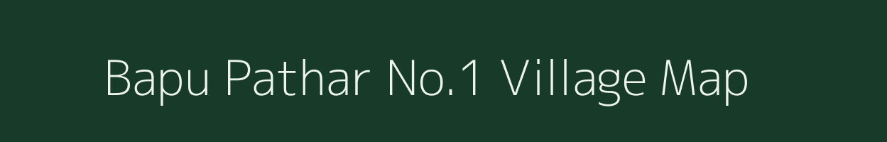 Bapu Pathar No.1 village map in Assam