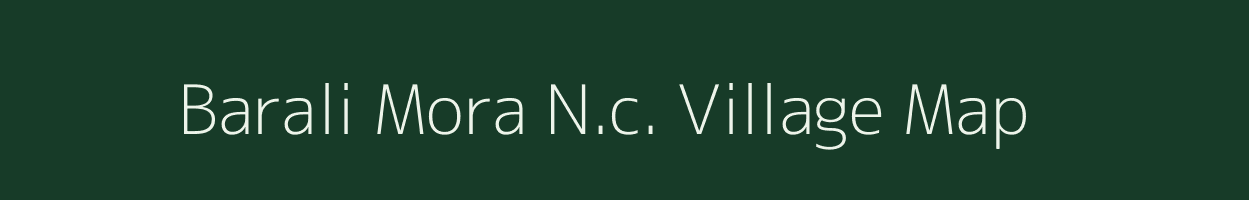 Barali Mora N.c. village map in Assam