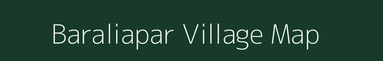 Baraliapar village map in Assam