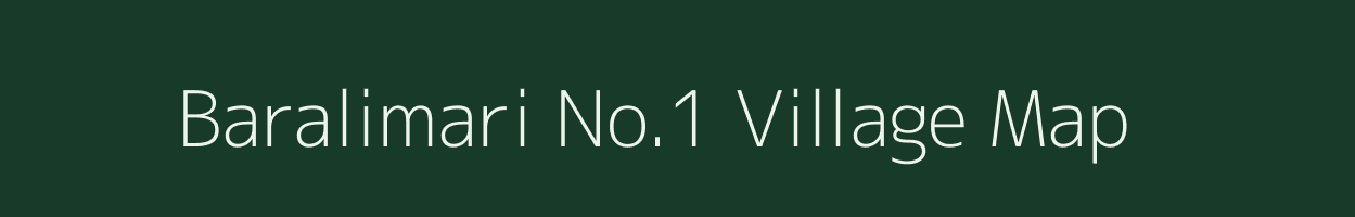 Baralimari No.1 village map in Assam