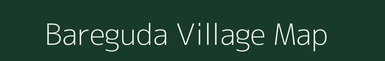 Bareguda village map in Odisha