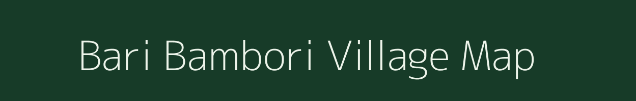 Bari Bambori village map in Rajasthan