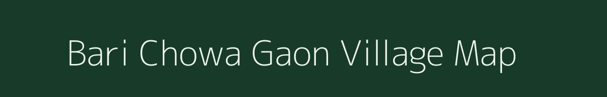 Bari Chowa Gaon village map in Assam