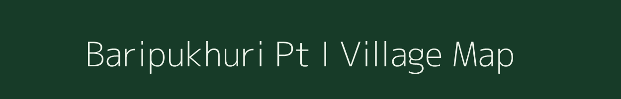 Baripukhuri Pt I village map in Assam