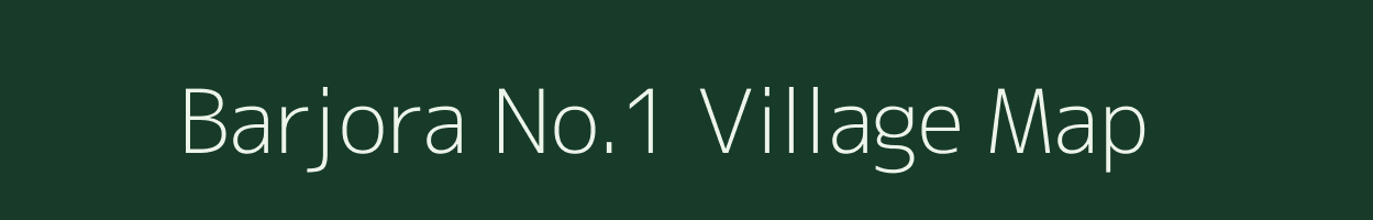 Barjora No.1 village map in Assam