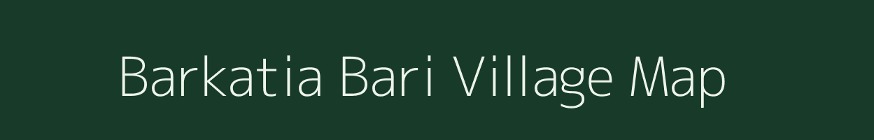 Barkatia Bari village map in Assam